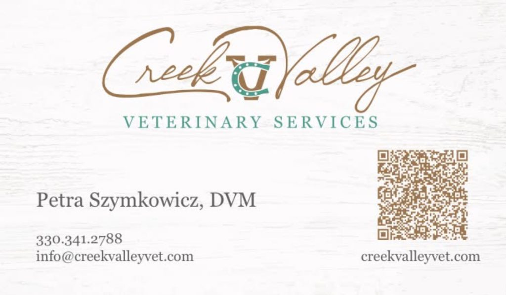veterinarian